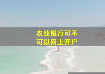 农业银行可不可以网上开户