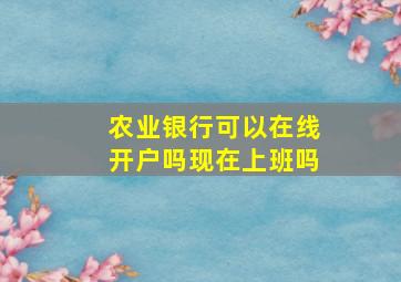 农业银行可以在线开户吗现在上班吗