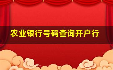 农业银行号码查询开户行