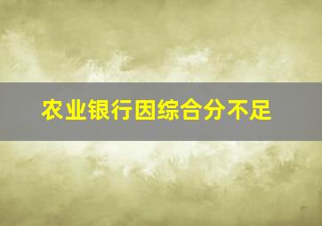 农业银行因综合分不足