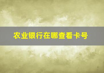 农业银行在哪查看卡号