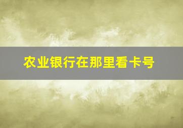 农业银行在那里看卡号