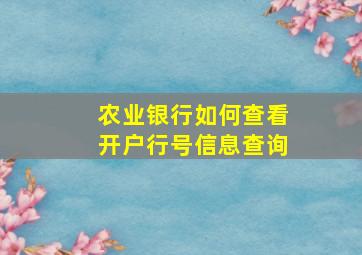 农业银行如何查看开户行号信息查询