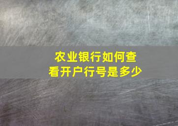 农业银行如何查看开户行号是多少