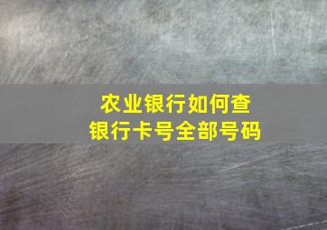 农业银行如何查银行卡号全部号码