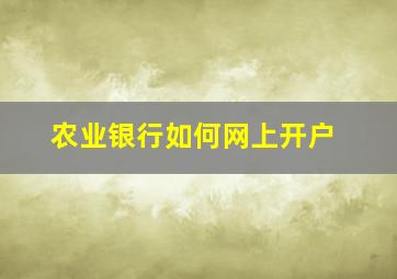 农业银行如何网上开户