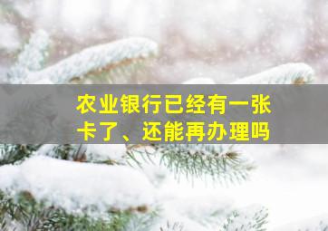 农业银行已经有一张卡了、还能再办理吗