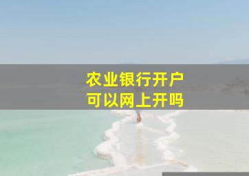 农业银行开户可以网上开吗