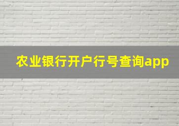 农业银行开户行号查询app