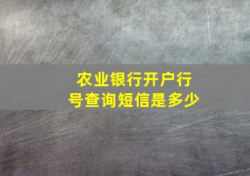 农业银行开户行号查询短信是多少