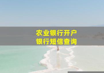 农业银行开户银行短信查询