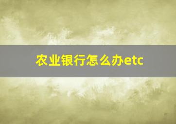 农业银行怎么办etc