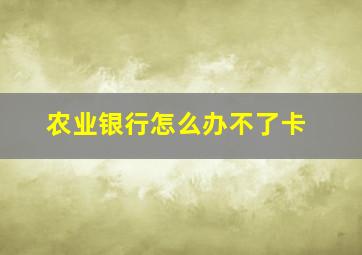 农业银行怎么办不了卡