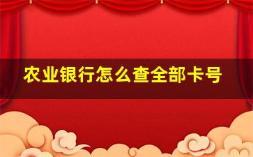 农业银行怎么查全部卡号