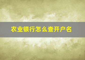 农业银行怎么查开户名