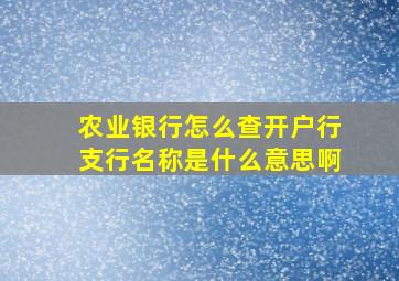 农业银行怎么查开户行支行名称是什么意思啊