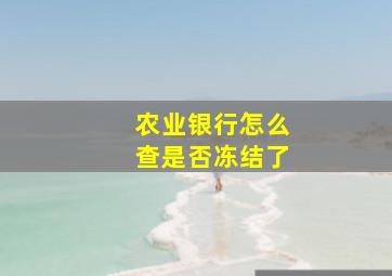 农业银行怎么查是否冻结了