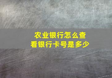 农业银行怎么查看银行卡号是多少