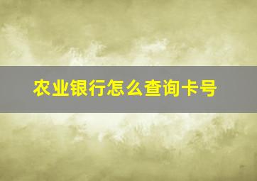 农业银行怎么查询卡号