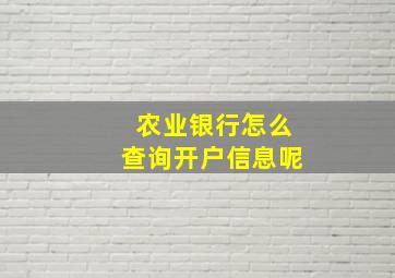 农业银行怎么查询开户信息呢