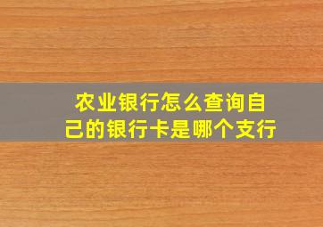 农业银行怎么查询自己的银行卡是哪个支行