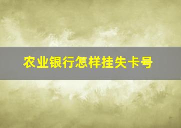 农业银行怎样挂失卡号