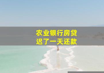 农业银行房贷迟了一天还款