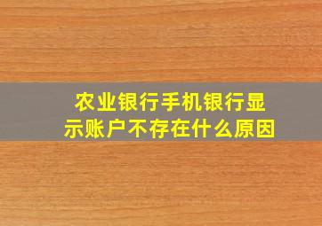 农业银行手机银行显示账户不存在什么原因