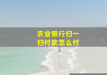 农业银行扫一扫付款怎么付