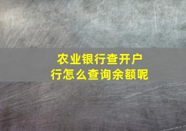 农业银行查开户行怎么查询余额呢