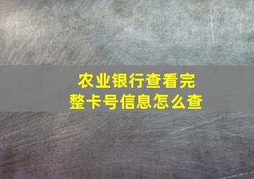 农业银行查看完整卡号信息怎么查