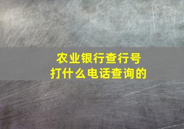 农业银行查行号打什么电话查询的