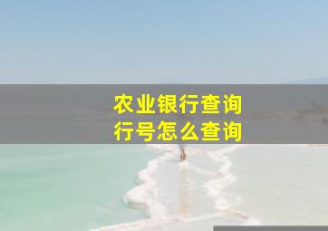 农业银行查询行号怎么查询