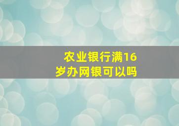 农业银行满16岁办网银可以吗