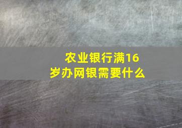 农业银行满16岁办网银需要什么