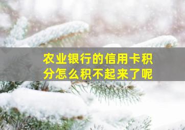 农业银行的信用卡积分怎么积不起来了呢