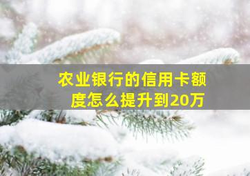 农业银行的信用卡额度怎么提升到20万