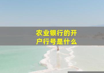 农业银行的开户行号是什么