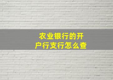 农业银行的开户行支行怎么查