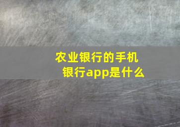 农业银行的手机银行app是什么