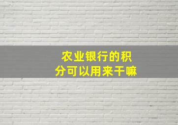 农业银行的积分可以用来干嘛