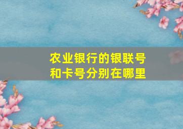 农业银行的银联号和卡号分别在哪里