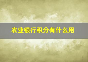 农业银行积分有什么用