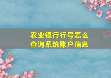 农业银行行号怎么查询系统账户信息