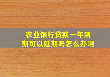 农业银行贷款一年到期可以延期吗怎么办啊