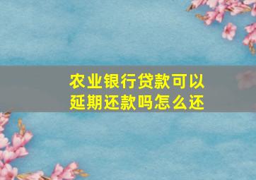 农业银行贷款可以延期还款吗怎么还