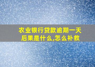 农业银行贷款逾期一天后果是什么,怎么补救