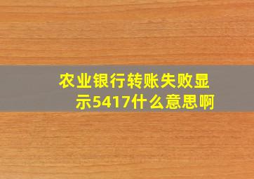 农业银行转账失败显示5417什么意思啊