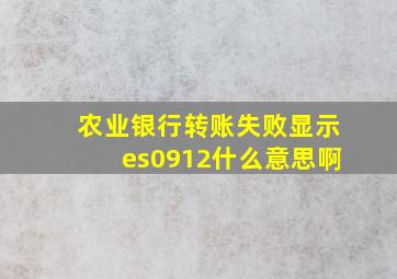 农业银行转账失败显示es0912什么意思啊