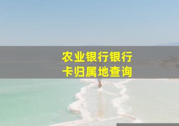 农业银行银行卡归属地查询